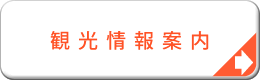 観光情報案内システ